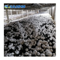 Agricultural Greenhouses Mushroom Plastic Film Green House